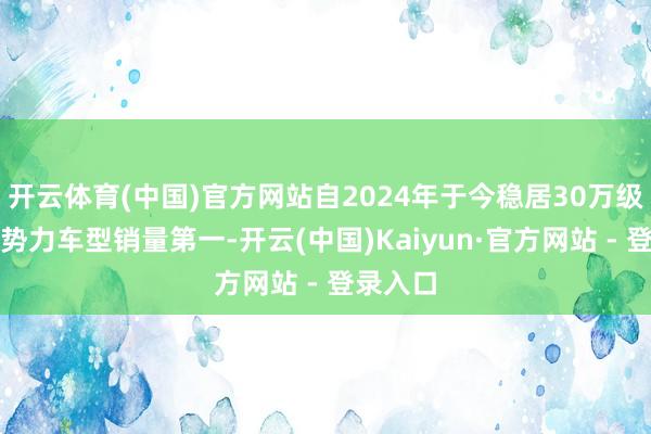 开云体育(中国)官方网站自2024年于今稳居30万级中国新势力车型销量第一-开云(中国)Kaiyun·官方网站 - 登录入口