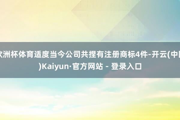 欧洲杯体育适度当今公司共捏有注册商标4件-开云(中国)Kaiyun·官方网站 - 登录入口