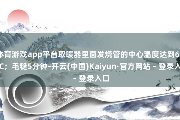 体育游戏app平台取暖器里面发烧管的中心温度达到600℃；毛糙5分钟-开云(中国)Kaiyun·官方网站 - 登录入口