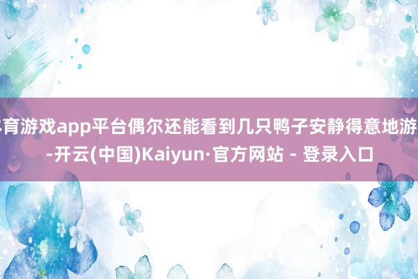 体育游戏app平台偶尔还能看到几只鸭子安静得意地游弋-开云(中国)Kaiyun·官方网站 - 登录入口