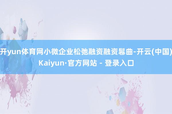 开yun体育网小微企业松弛融资融资鬈曲-开云(中国)Kaiyun·官方网站 - 登录入口