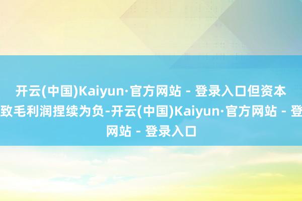 开云(中国)Kaiyun·官方网站 - 登录入口但资本上涨导致毛利润捏续为负-开云(中国)Kaiyun·官方网站 - 登录入口