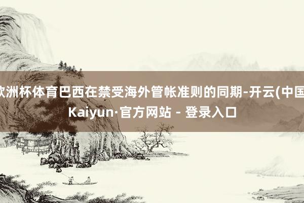 欧洲杯体育巴西在禁受海外管帐准则的同期-开云(中国)Kaiyun·官方网站 - 登录入口