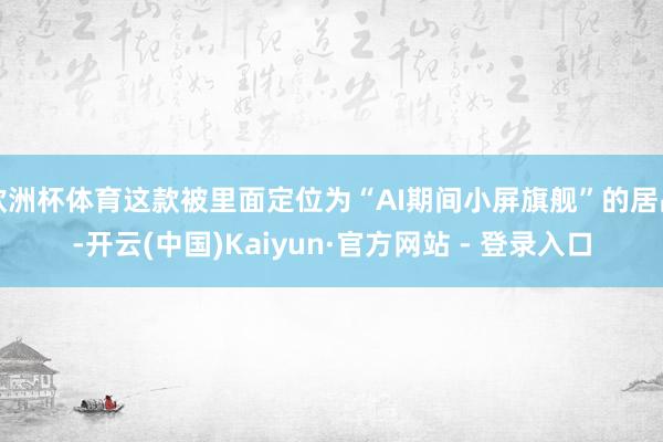 欧洲杯体育这款被里面定位为“AI期间小屏旗舰”的居品-开云(中国)Kaiyun·官方网站 - 登录入口