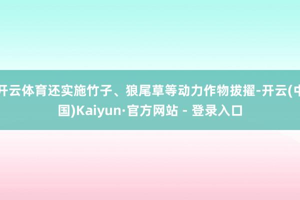开云体育还实施竹子、狼尾草等动力作物拔擢-开云(中国)Kaiyun·官方网站 - 登录入口