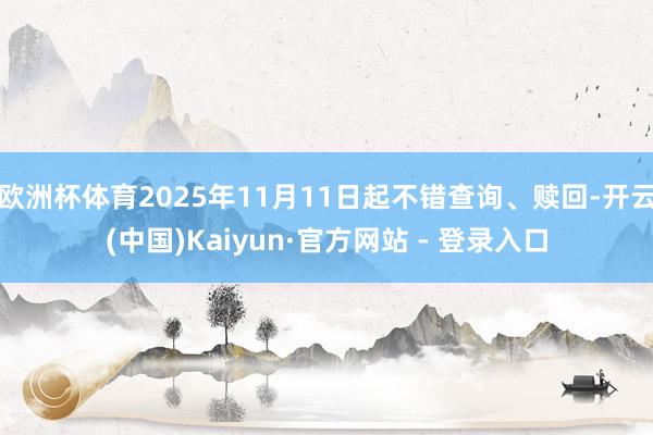 欧洲杯体育2025年11月11日起不错查询、赎回-开云(中国)Kaiyun·官方网站 - 登录入口