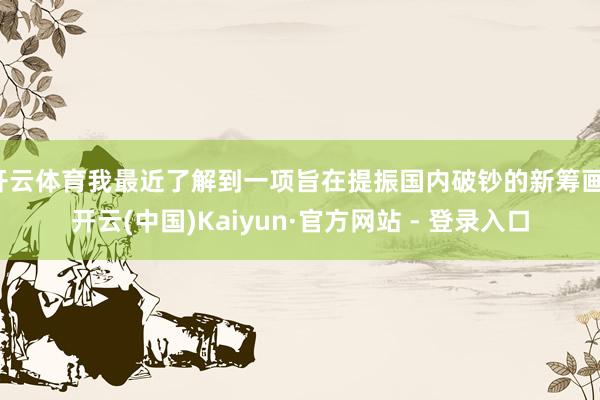 开云体育我最近了解到一项旨在提振国内破钞的新筹画-开云(中国)Kaiyun·官方网站 - 登录入口