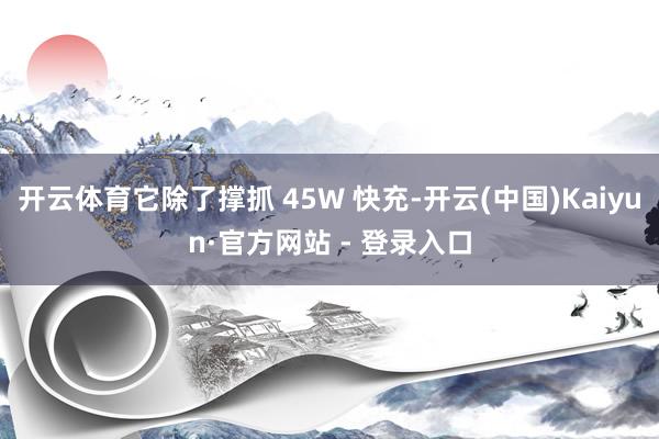 开云体育它除了撑抓 45W 快充-开云(中国)Kaiyun·官方网站 - 登录入口
