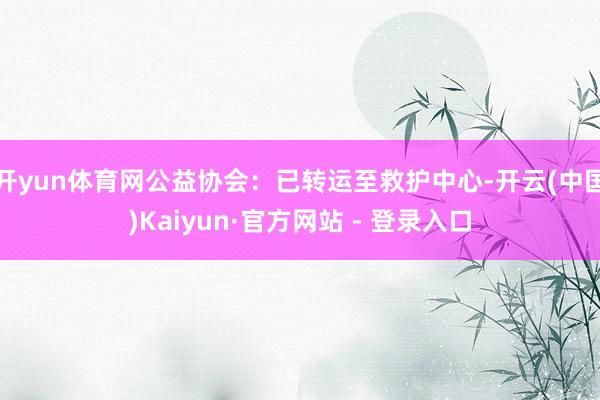 开yun体育网公益协会：已转运至救护中心-开云(中国)Kaiyun·官方网站 - 登录入口