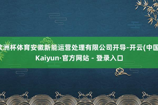 欧洲杯体育安徽新能运营处理有限公司开导-开云(中国)Kaiyun·官方网站 - 登录入口